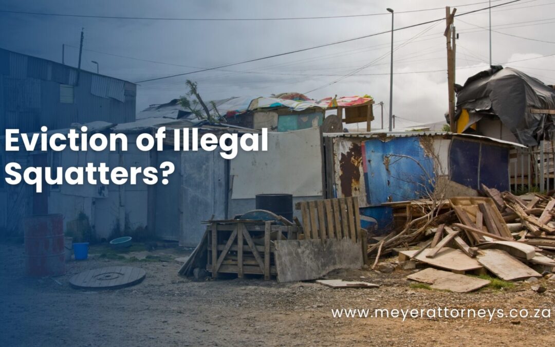 Eviction of Illegal Squatters?