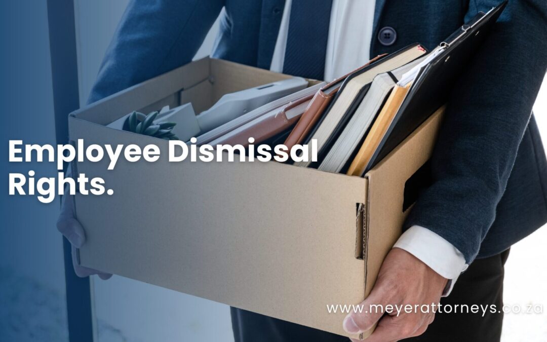 Employee Dismissal Rights