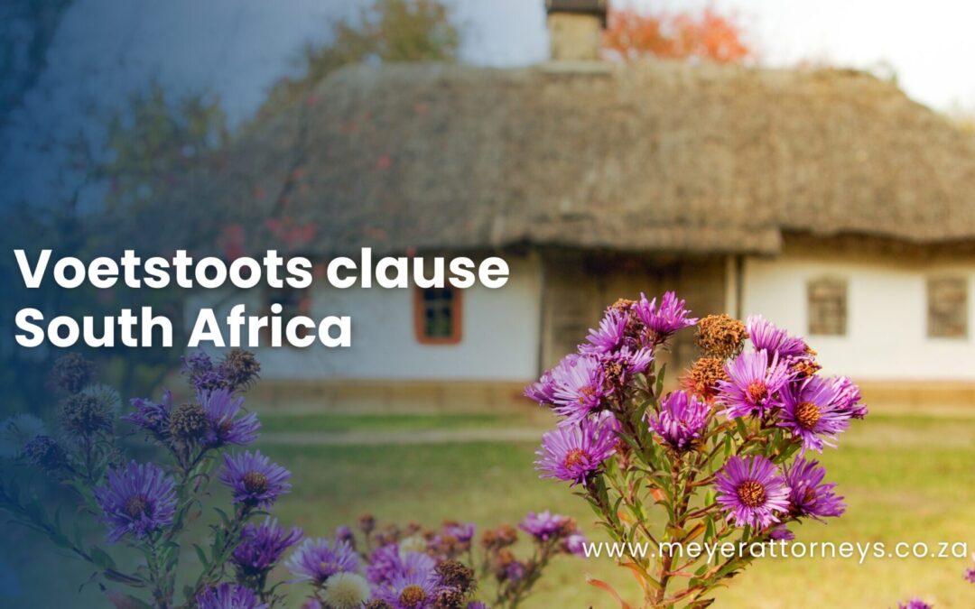 Voetstoots clause South Africa